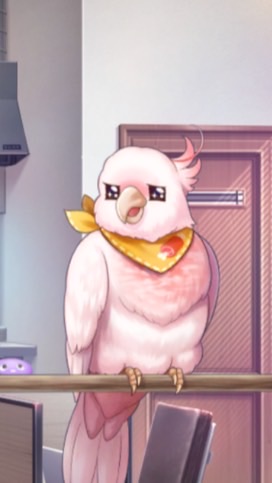 ブレマイ夢、雑談各一部屋🕊️
