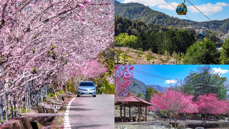 鹿篙社區香茶巷