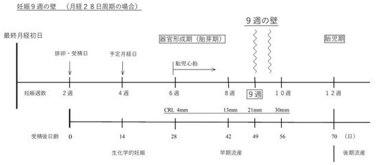 魔の9週 は流産の壁 赤ちゃんの心拍が停止