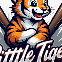 ⚾️小老虎棒球學院⚾️
