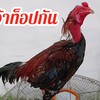 ซุ้ม ต.เพชรอัญญา (ต.ชนิศาฟาร์ม) พัฒนาพม่าเดินทำ สายทองนคร
