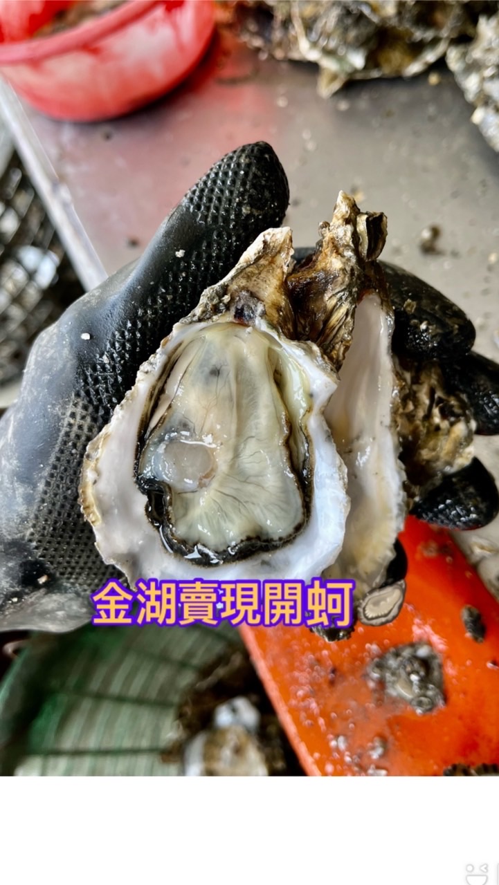 雲林口湖（金湖）賣現開蚵🦪在地老店