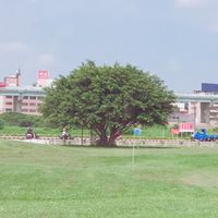 微風五十高爾夫俱樂部