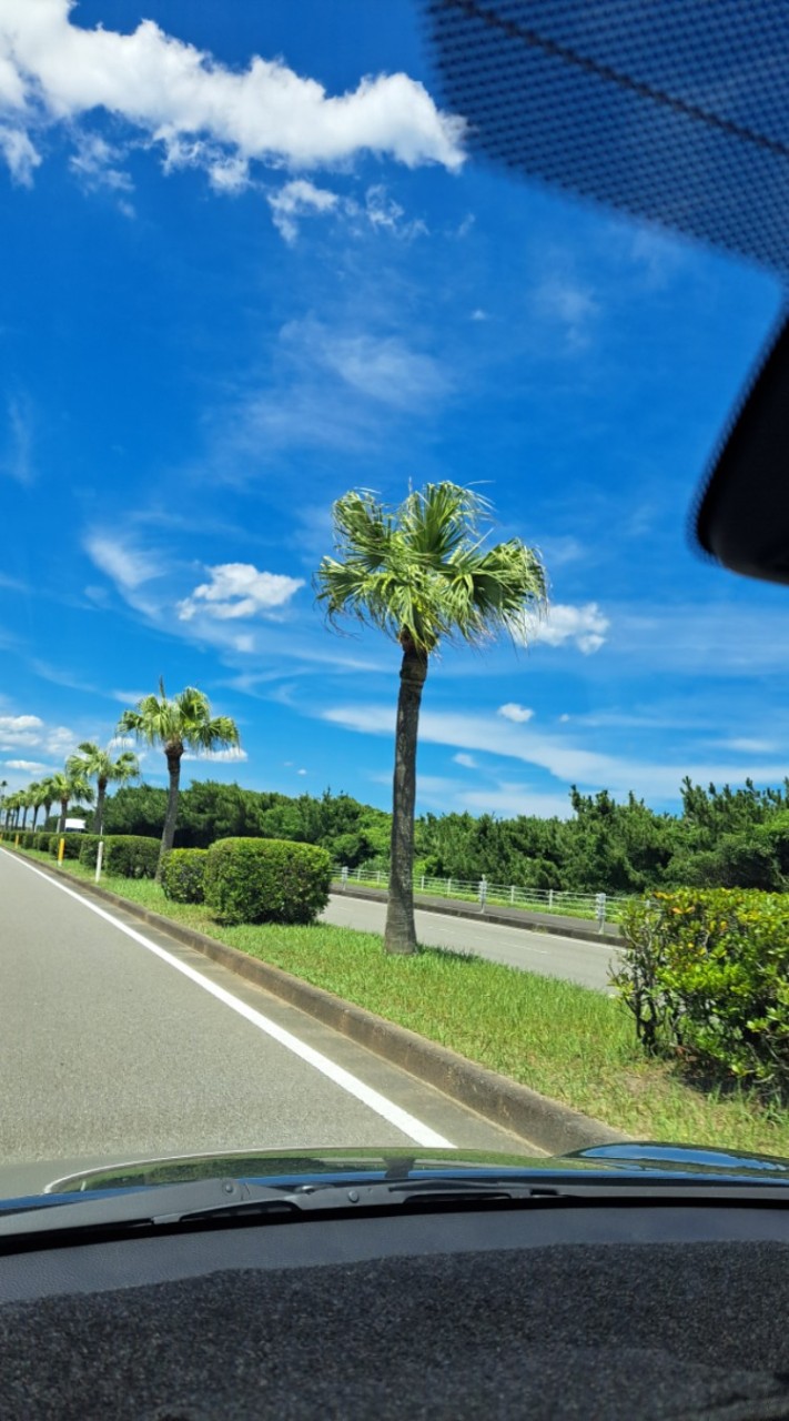 🌴九州癒し大人部屋！ 一緒に話そぅ🥳🤭