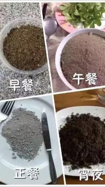 🌾高級營養土團購區🌾