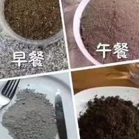 🌾高級營養土團購區🌾