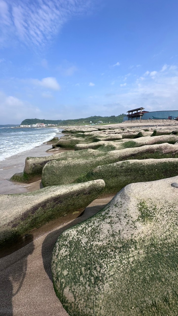 土城房地產精選 - 住商