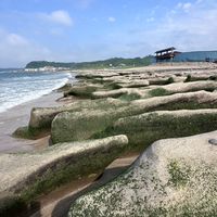 土城房地產精選 - 住商