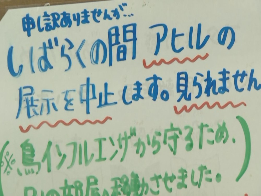 鳥インフルエンザ 岐阜での確認受け ダチョウなど4種の鳥の展示を一時中止 愛知 のんほいパーク