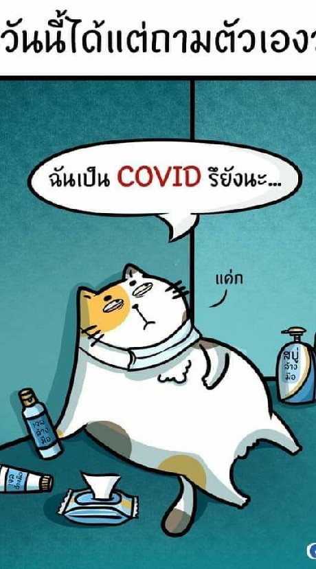 กลุ่มคำคม ขำขัน ตลก เฮฮาคุยได้ทุกเรื่อง