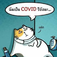 กลุ่มคำคม ขำขัน ตลก เฮฮาคุยได้ทุกเรื่อง