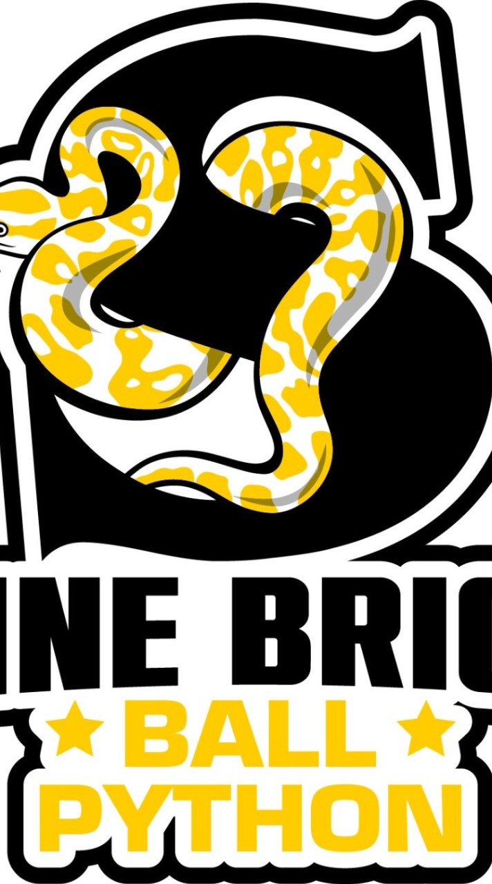 ShineBright ballpython