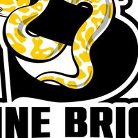 ShineBright ballpython