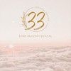 《教材補充》ESME 33水晶療癒所