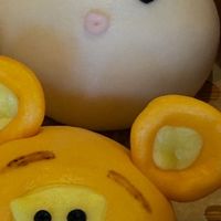 LIVE配信説明