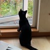 ねこ殿★大好きな人集まって〜★