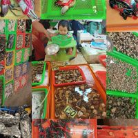 “ 艾莉海鮮零售批發 ” 屏東內埔市場販賣“東港的野生螃蟹、石頭蚵、蝦類、一堆海鮮類……等”