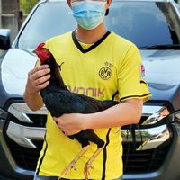 ซุ้ม ไก่ชนพัดถิ่น #พม่าแข้งคม