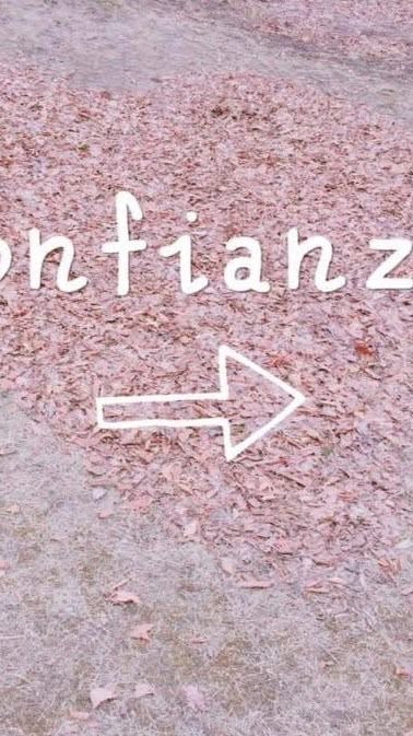 11/13-11/18 京都大阪代購🇯🇵