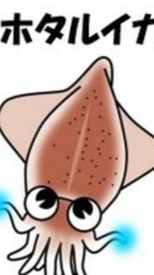 富山県🦑ホタルイカ情報部屋 石川県 福井県 岐阜県 新潟県 長野県 雑談 地震 能登地震 富山湾