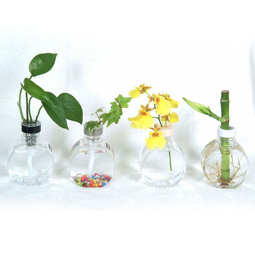 #療癒植物容器 #滿月瓶 #療癒系 #可愛 #方便 #植物容器 #盆栽 #送禮●【適用環境】辦公室、會議室、室內桌....等綠化氛圍的區域。●【產品顏色】黑色/白色/灰色/橙色●【產品特色】a.吸水棉