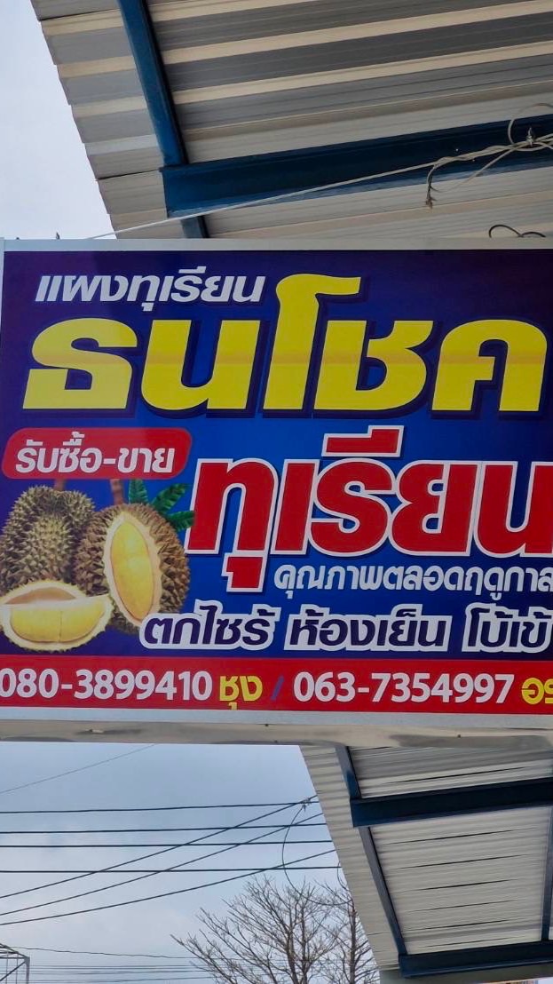แผงทุเรียน ธนโชค