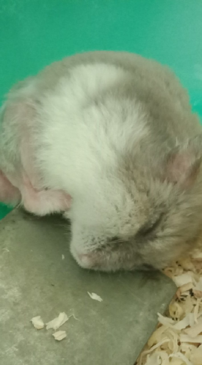 來抬槓