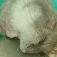 來抬槓