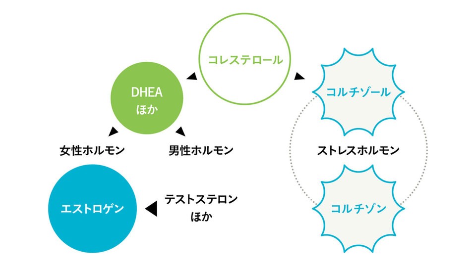 放置厳禁 男の更年期障害 加齢のトリセツ