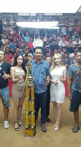 OpenChat สนามชนไก่วาปีปทุม