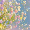 芸能人なりきり(！) (也)