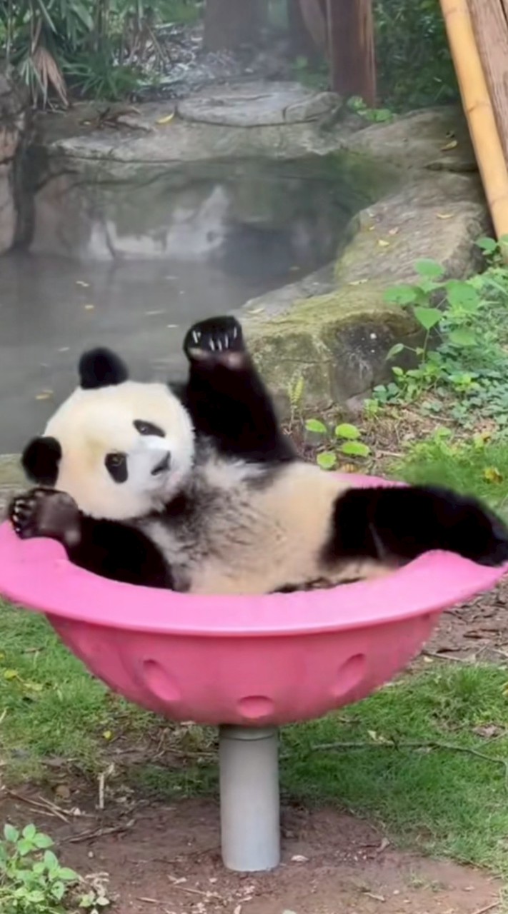 โอเพนแชท"ไว้คุยเล่น" (คลายเหงา)​💤