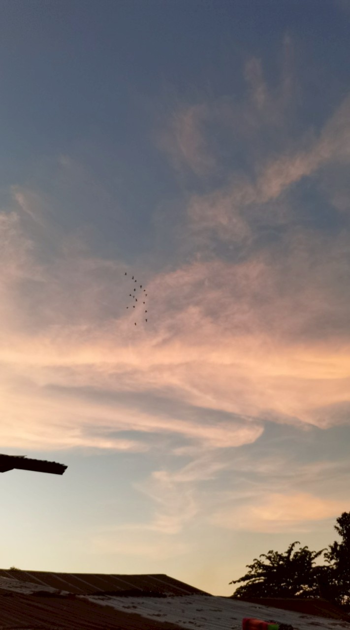 โอเพนแชท🍗\คุยเล่น/🥪