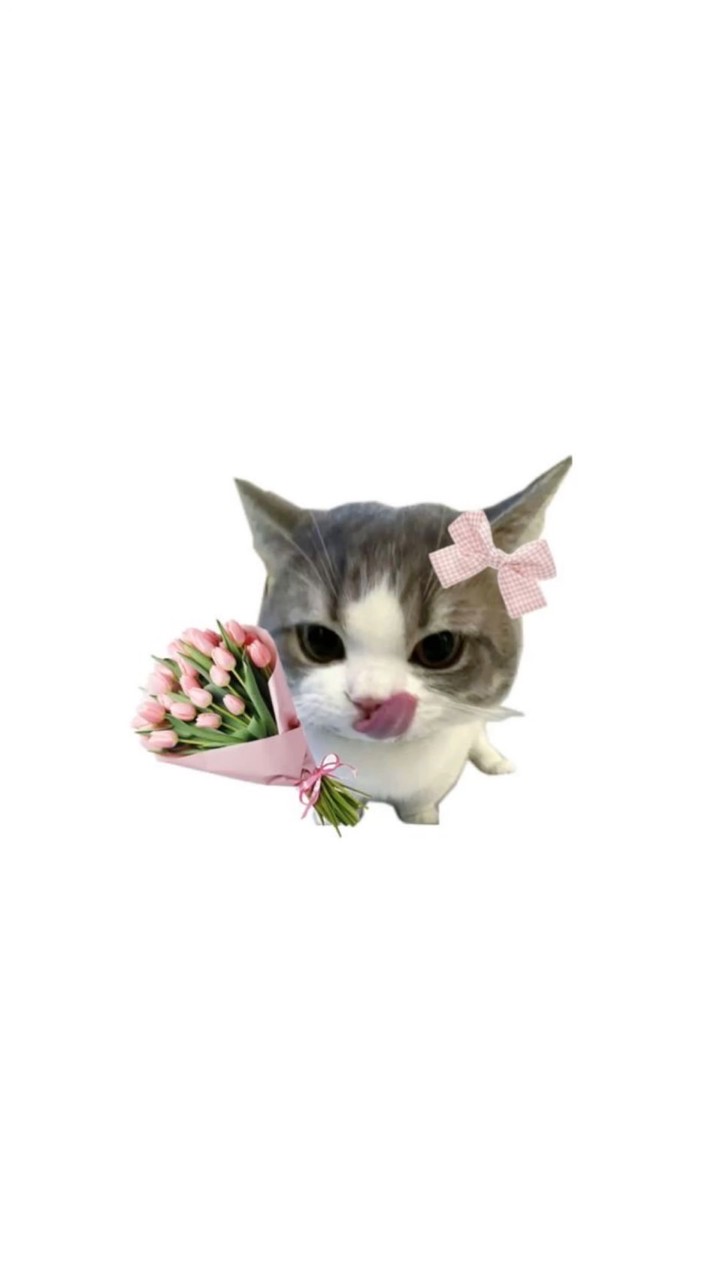 Majumkanmae