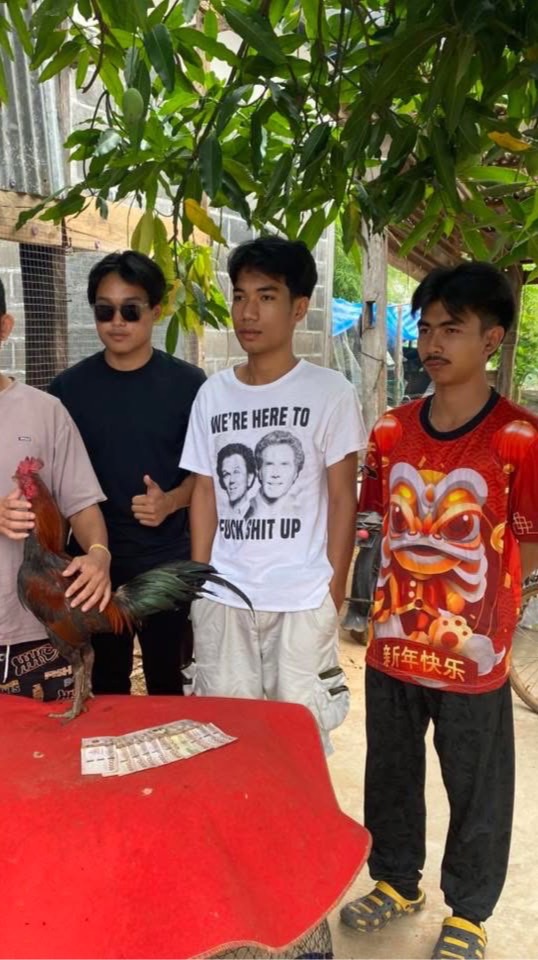 สายฟ้าxสามหนุ่ม (แบ่งไก่)