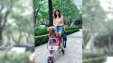 寵物情緣／克服動物恐懼症 王百瑜麵店收養狗女兒