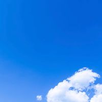 社会人音楽サークル