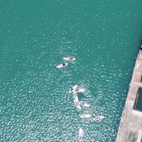 Sup潛旅開團