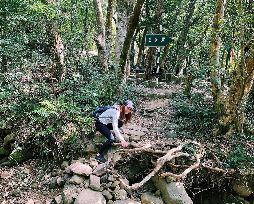 屏東「拾美步道群」介紹｜屏東10條森林秘境登山步道介紹看這篇