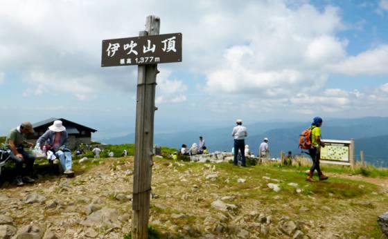 日本百名山 滋賀縣伊吹山 Fitz Line Today