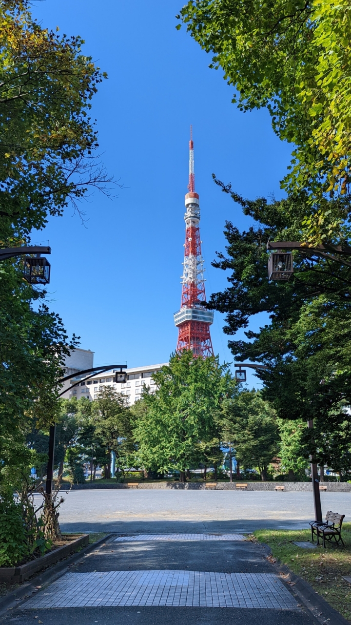 樞沃 東京代購、連線代購🧳🛒🗾