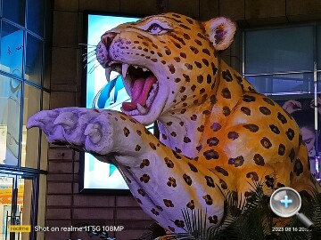 IMG20230816200500.jpg