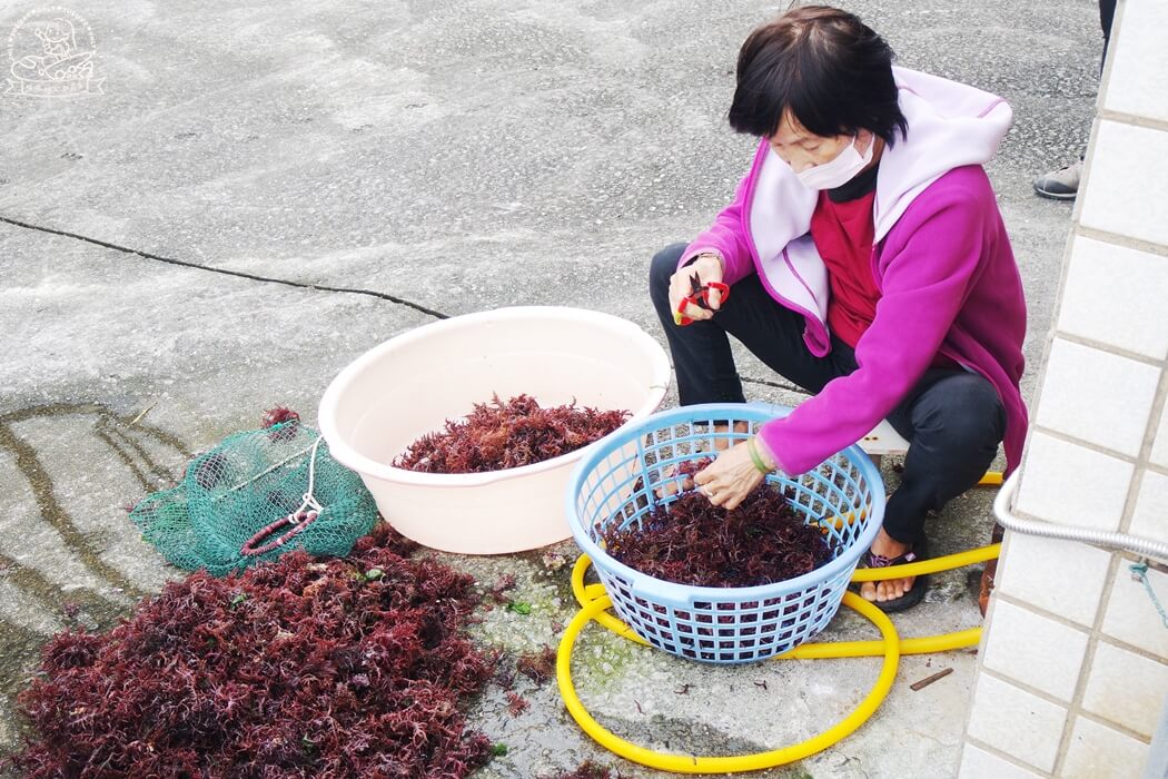 海女體驗