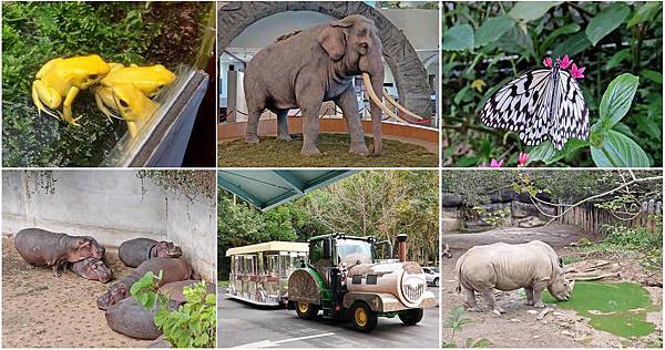 【台北景點】台北市立動物園-逛一整天也逛不完的必去景點！大朋友小朋友最適合的親子旅遊