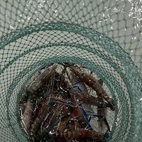 泰國🦐友善買賣（大桃園地區）