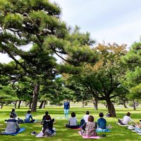 🌳3/8(日)皇居外苑ヨガ