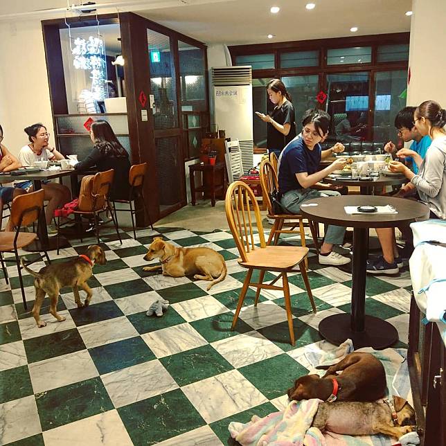 （圖片來源／IG @ofeswan）