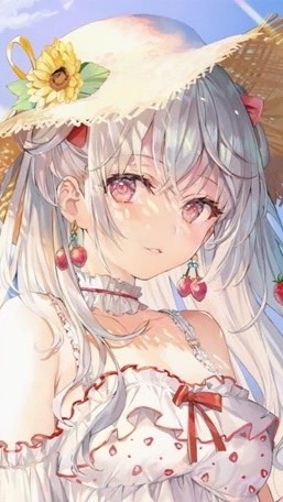 茶教