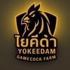 โยคีดำฟาร์ม