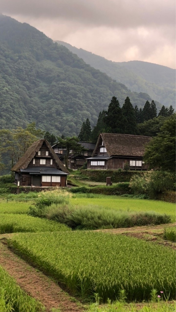 あつまれ囲炉裏のまわり
